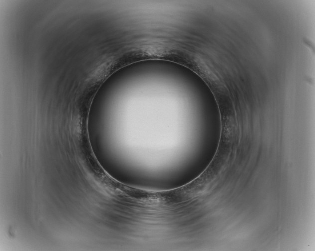 X0000099300639200805021232