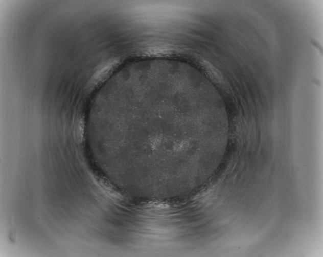 X0000099300640200805021232