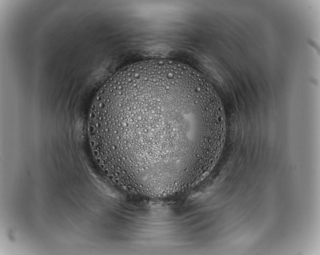 X0000099300641200805021232