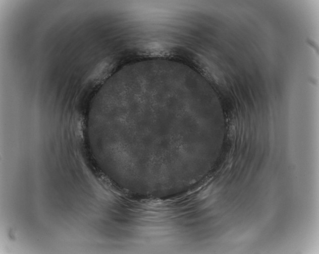 X0000099300643200805021232