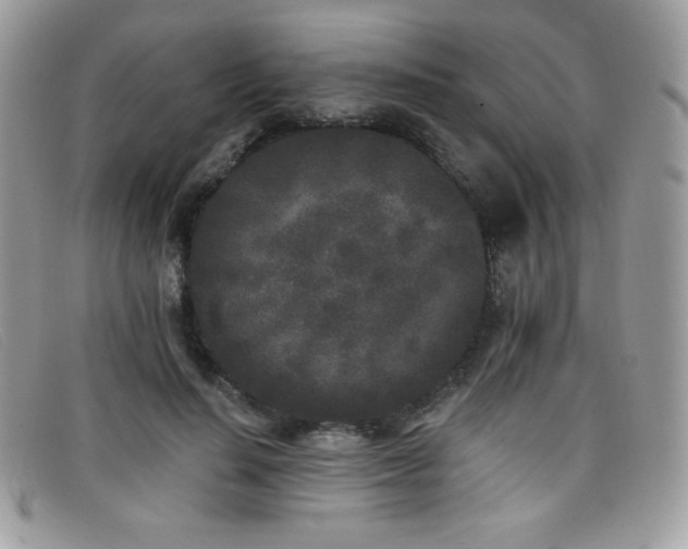 X0000099300644200805021232