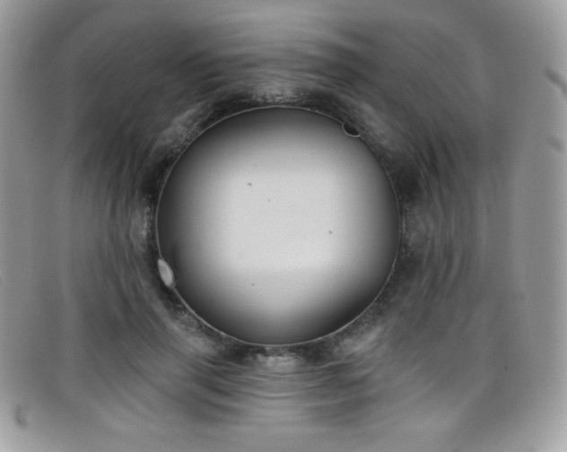 X0000099300645200805021232