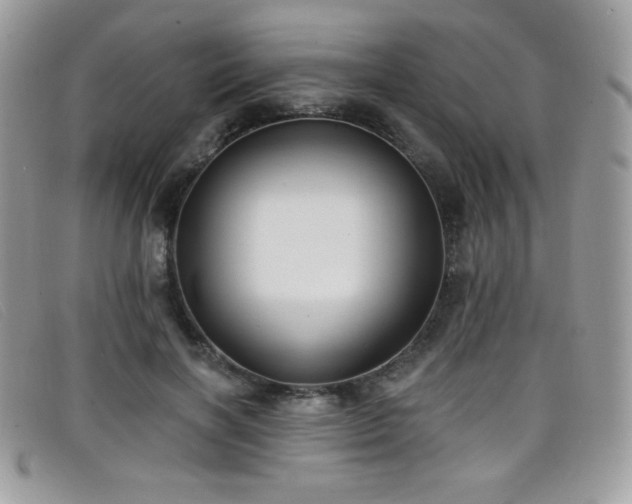 X0000099300646200805021232