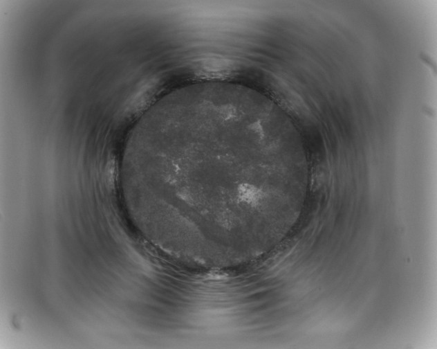 X0000099300647200805021232