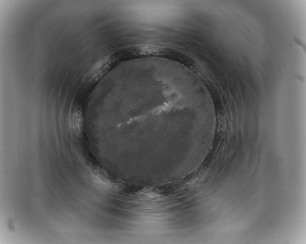 X0000099300648200805021232