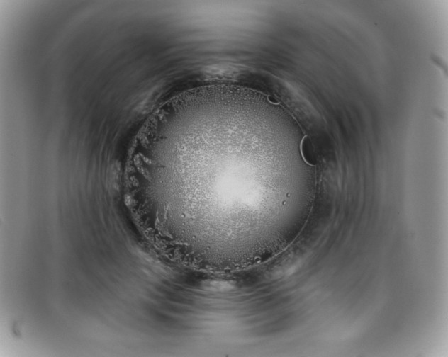 X0000099300649200805021232