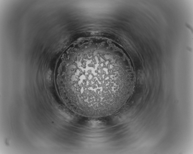 X0000099300650200805021232