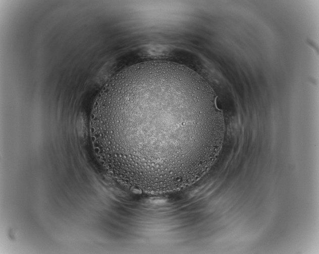 X0000099300651200805021232