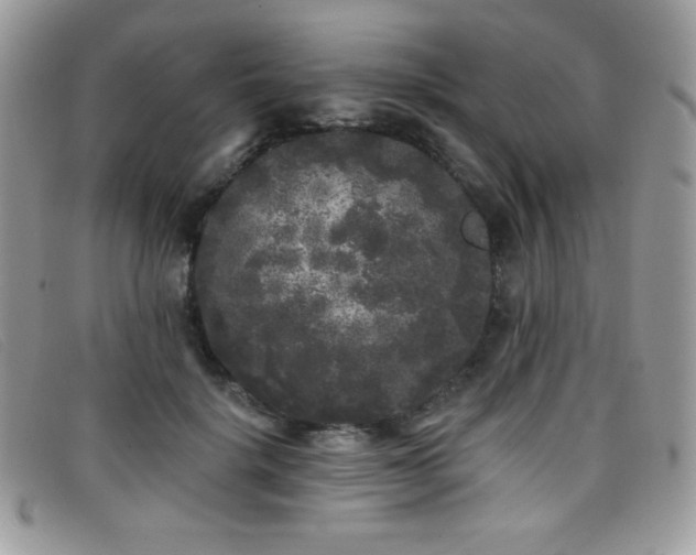 X0000099300652200805021232