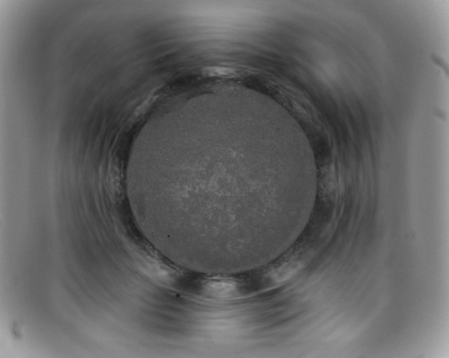 X0000099300653200805021232