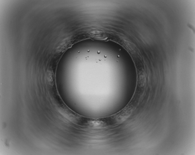 X0000099300654200805021232