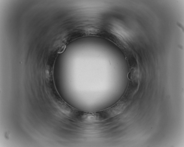 X0000099300655200805021232