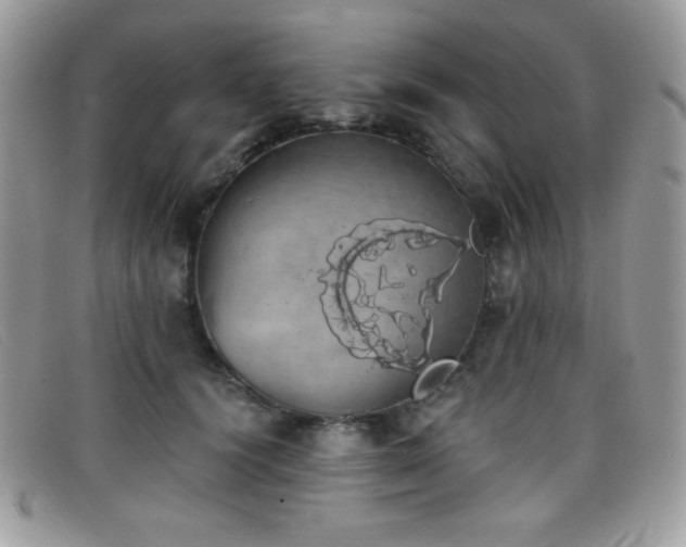 X0000099300656200805021232