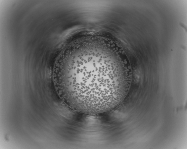 X0000099300657200805021232