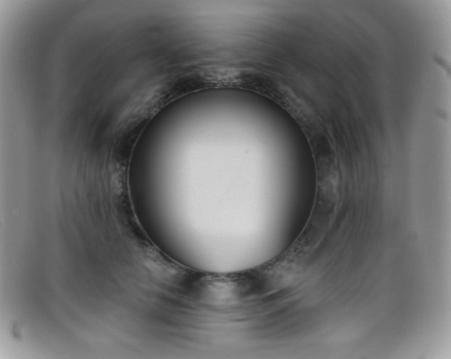 X0000099300658200805021232