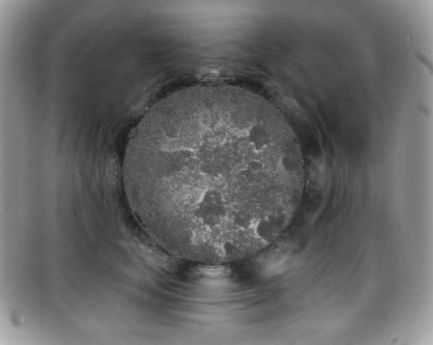 X0000099300659200805021232