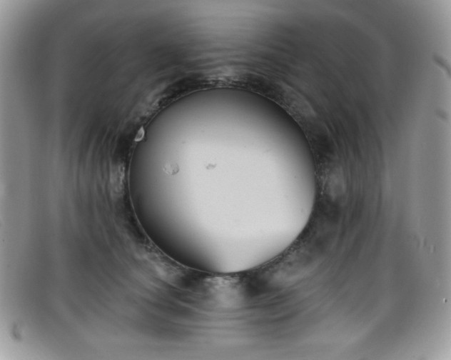 X0000099300660200805021232