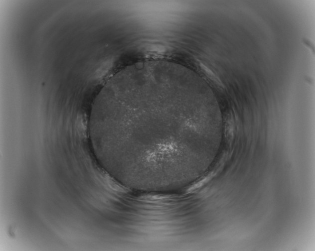 X0000099300661200805021232