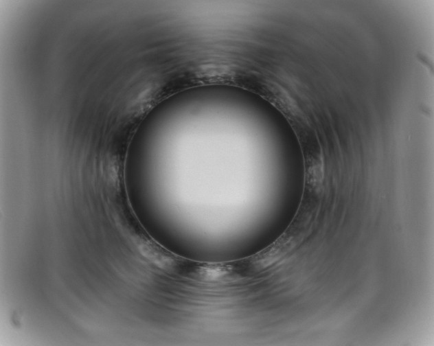 X0000099300662200805021232