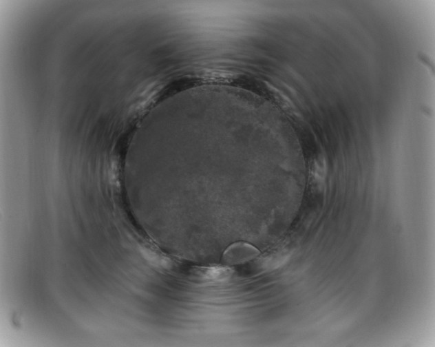 X0000099300663200805021232