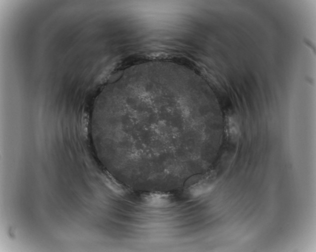 X0000099300664200805021232