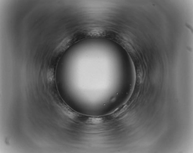 X0000099300665200805021232