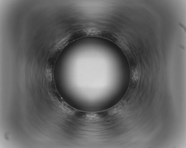 X0000099300666200805021232