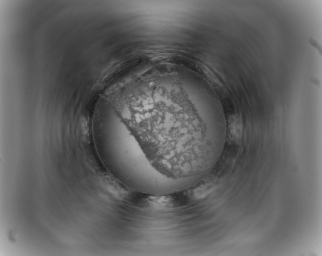 X0000099300667200805021232