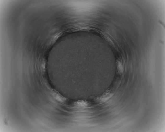 X0000099300668200805021232