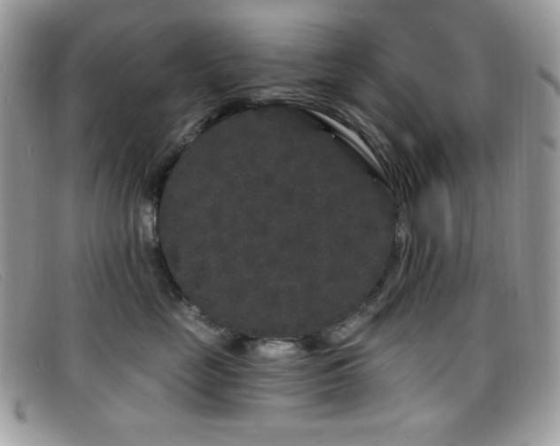 X0000099300669200805021232