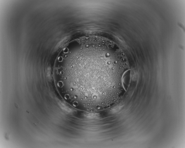 X0000099300670200805021232