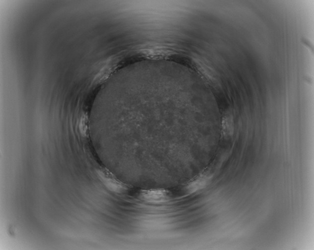 X0000099300671200805021232