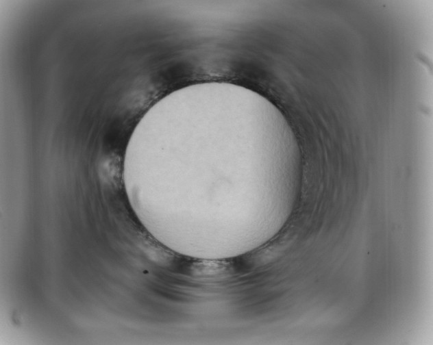 X0000099300672200805021232