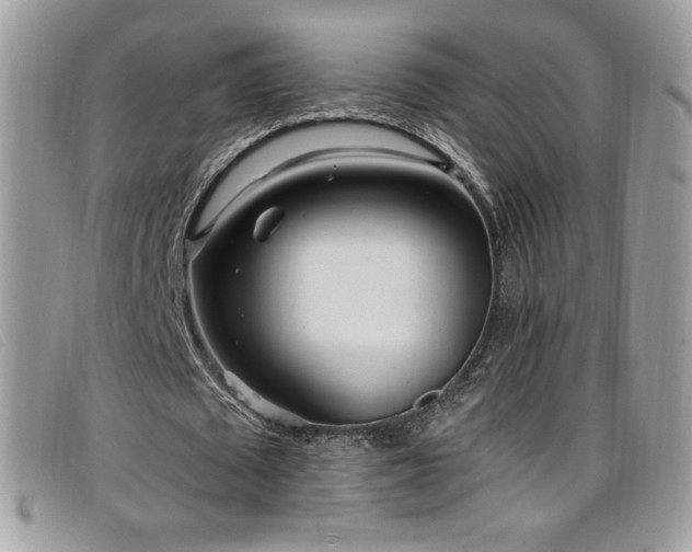 X0000099300673200805021232