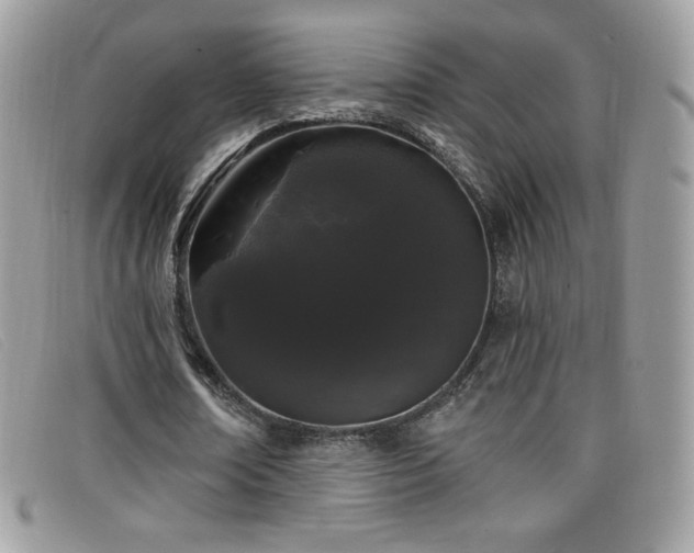 X0000099300674200805021232