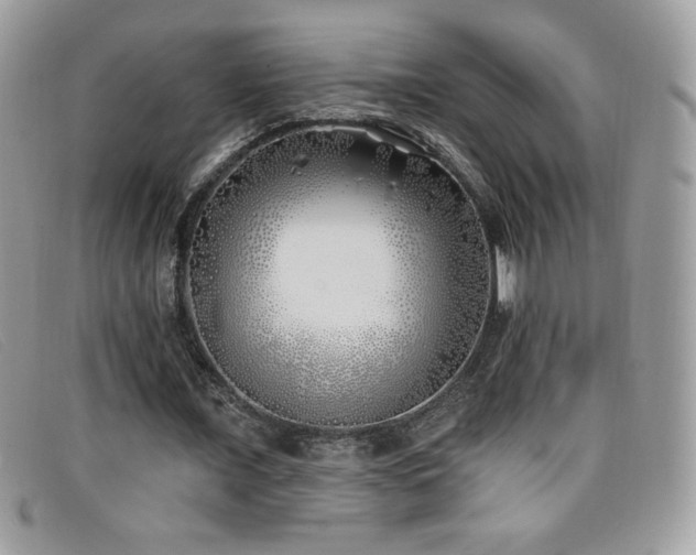 X0000099300675200805021232