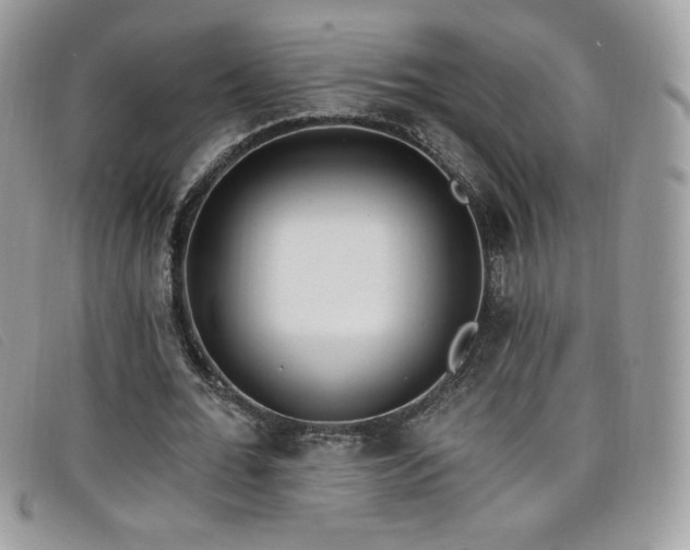 X0000099300676200805021232