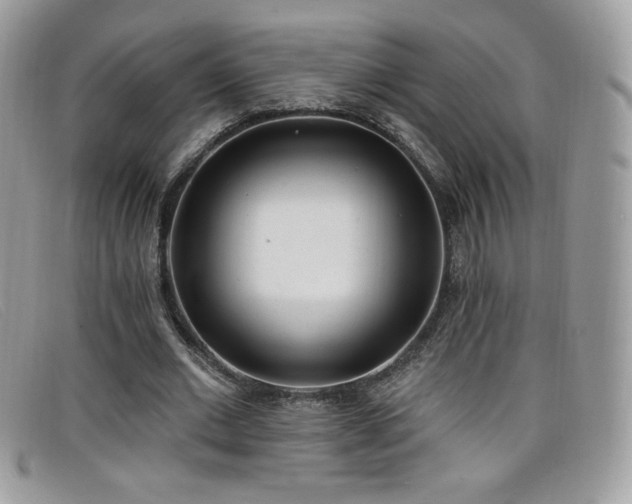 X0000099300677200805021232