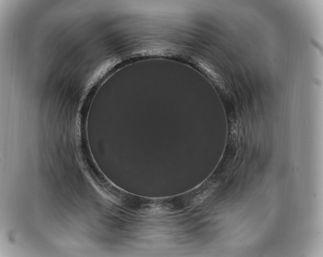 X0000099300678200805021231