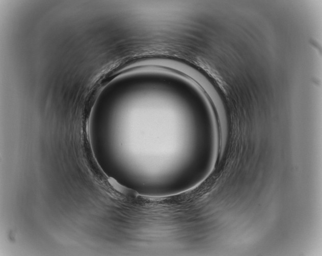 X0000099300681200805021231