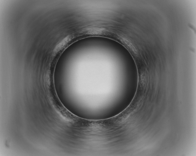 X0000099300682200805021231