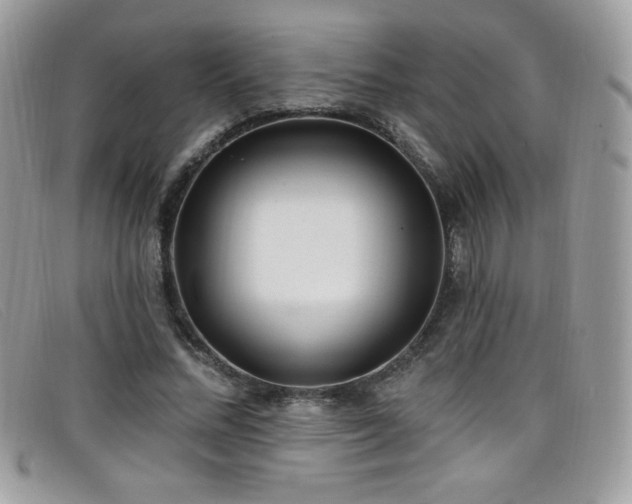 X0000099300684200805021231