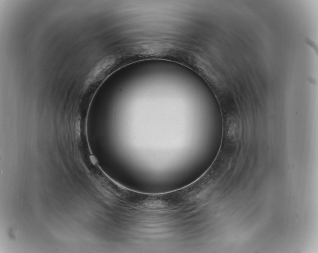 X0000099300685200805021231