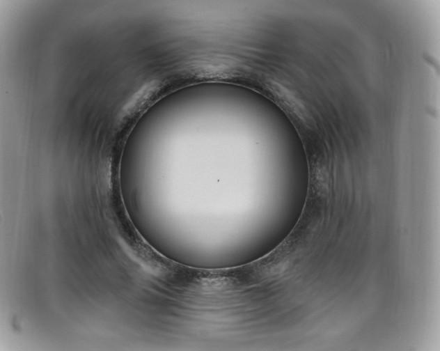 X0000099300686200805021231