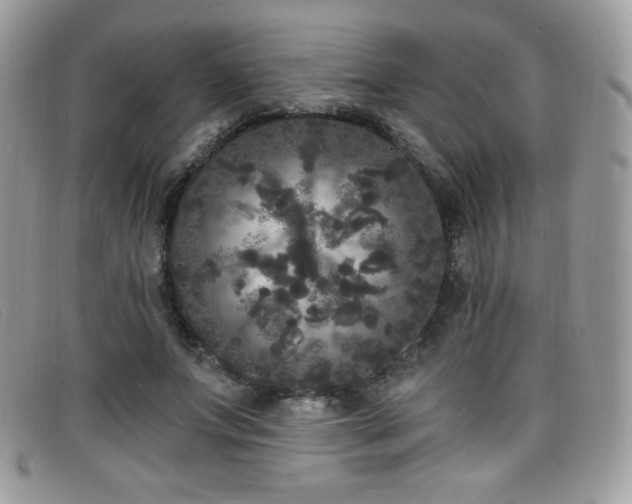 X0000099300687200805021231