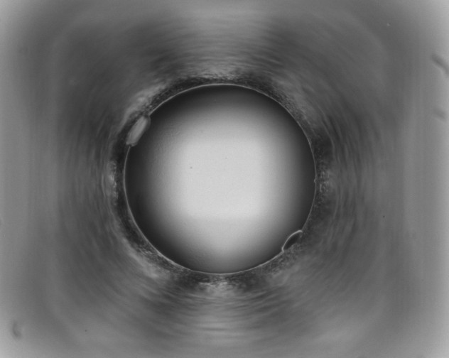 X0000099300688200805021231