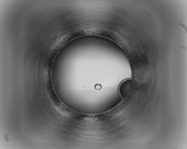 X0000099300690200805021231