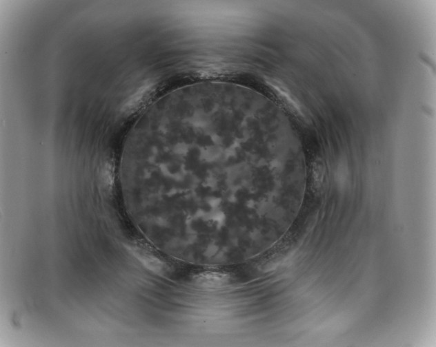 X0000099300691200805021231