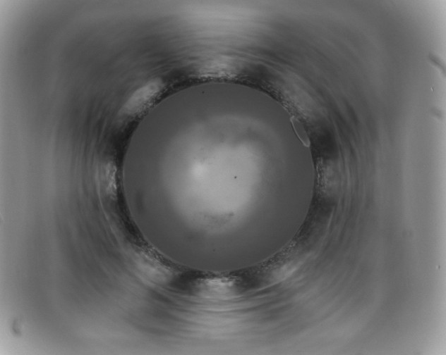 X0000099300692200805021231