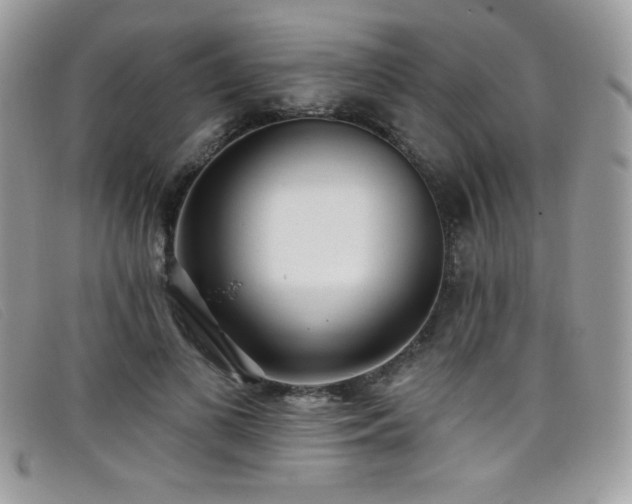 X0000099300693200805021231